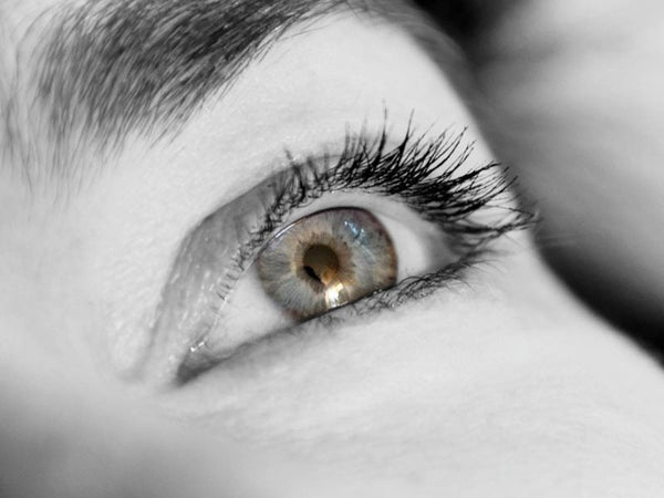 Mesencil Eyelash Extension Service